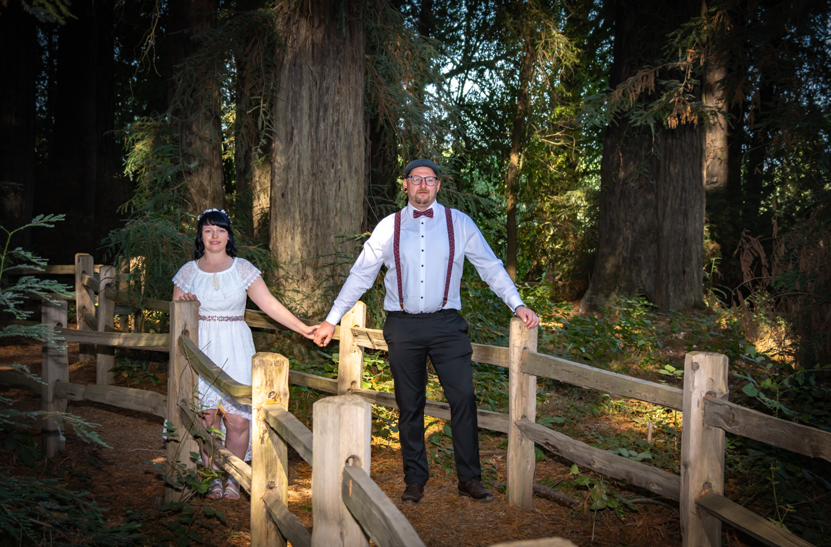 Heiraten im Redwood Wald bei San Francisco